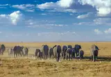 Perfect Match Kenya and Tanzania foto 4