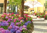 Hotel Villa Sofia foto 9