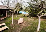 Aumallia Hotel & Spa foto 16