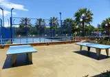 Solmar foto 4