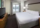 Homewood Suites Miami Airport / Blue Lagoon foto 4