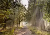 EuroParcs Hooge Veluwe foto 1