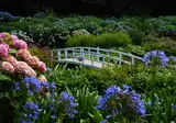 Ontdek Devon en Cornwall foto 14