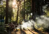Forest Camping Mozirje foto 21