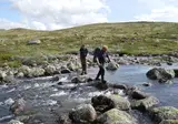 Ontdek Zuid-Noorwegen foto 4