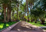 Seaside Palm Beach foto 18