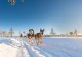 Stoten Ski Hotel foto 5