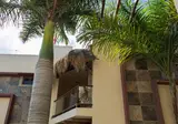 Macondo Raíz Holbox foto 14