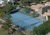 Restia foto 16