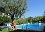 Amfitriti foto 24