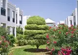 Calimera El Borj Mahdia foto 30