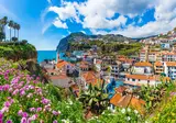 Ontdek Madeira vanuit São Jorge foto 2