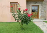 Liotrivi Historical Mansion & Boutique Hotel foto 11