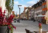 Alpirsbach in het Zwarte Woud foto 15