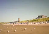 Beach Resort foto 44