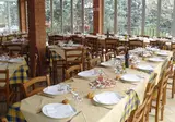 Piantelle foto 7
