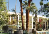 Palm Mountain Resort & Spa foto 1