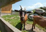 Hermagor foto 11