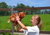 Vakantiedorp Feriendorf Ponyhof foto 2
