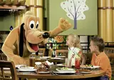 Walt Disney World Swan foto 23