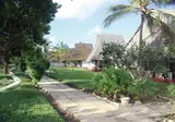 Karafuu Beach Resort & Spa foto 27