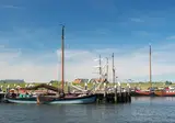 Hollandsch Glorie foto 13