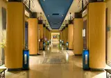 Le Meridien N'Fis foto 7