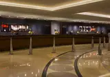 New York Hilton Midtown foto 6