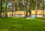 Hoge Kempen foto 10
