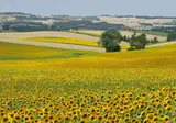 Domaine Aramis foto 44