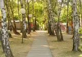 Camping Bella Iseo foto 5