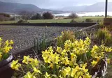 Currane Lodge Bed and Breakfast foto 18