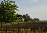 Le Terre dei Cavalieri Hotel foto 16