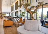 Hotel AP Cabanas Beach & Nature - all inclusive foto 8