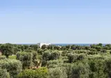 Masseria Torre Maizza Puglia, a Rocco Forte Hotel foto 30