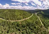 Ontdek het Zwarte Woud in stijl vanuit Triberg foto 6
