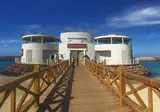 Melia Llana Resort & SPA foto 27