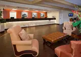 Avanti Palms Resort & Conference Center foto 7