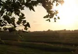 De Uilenburg foto 11