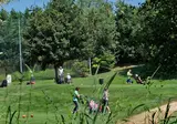 Golf Residenza foto 4