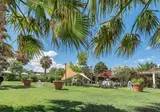 Fly & Go Acacia Resort foto 14
