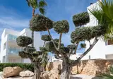 MarSenses Ferrera Blanca Hotel Adults Only foto 8