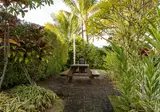 Plantation Hale Suites foto 26