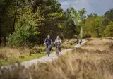 Vakantiepark De Rimboe en De Woeste Hoogte foto 25