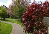 Posthotel Usseln foto 10