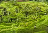 A Balinese Escape foto 1