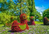 Fietsen rondom de Bodensee foto 8