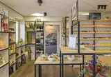Summio Vakantiepark Reevallis foto 9
