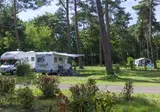 Oostappen Vakantiepark Boschbeek foto 10