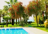 Villa Augusto Boutique Hotel foto 18